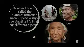 5. Nagaland : Land of Festivals , Art Integrated Project by Sneh Mourya ,Class XI