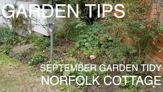 September Garden Tips