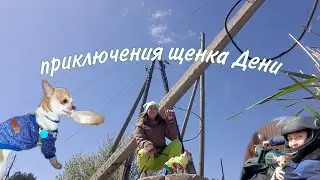 Вытаскиваем КЛЕЩА у Нади в тц / Огромная фиолетовая пупырка на попе у Дени/ солнечный удар