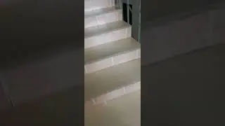 24 августа 2024 г.