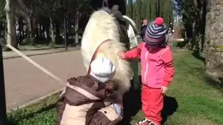 Лес. Пони. Детская площадка. Гуляем с Крис!