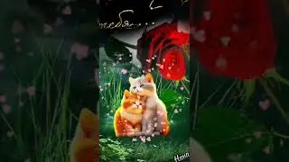 27 марта 2024 г.