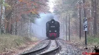 [HD] Dampflok 99 4632-8 (52 Mh) Rasender Roland / RüKb / RüBB im Nebel