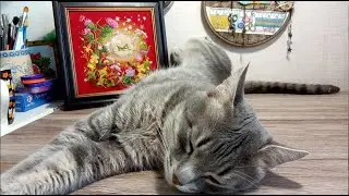 Закат Золотые ручки