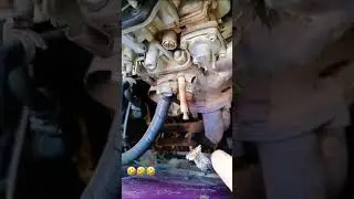 Есть у вас такой шланг?🤪… 