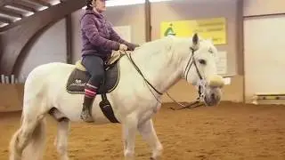 Kaulanaruvalmennus 17.3🐴🐴