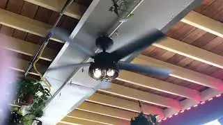 Hunter Ceiling Fan
