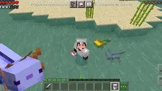 Mcpe | Axolotl