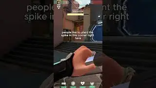 NEW SAGE WALL BUFF!