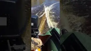 Ветерок 8 Малиновка 29.05.2018