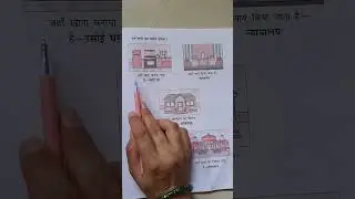 Worksheet Series | चींटी | Hindi | Class 3