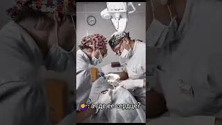 по просьбе, Дима Матвеев и Олег Шепс :)