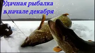 Удачная рыбалка в начале декабря