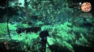 The Witcher 3  Wild Hunt Downwarren gameplay