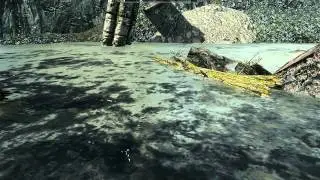 Great Skyrim Treasure Hunt Map IX - Elder Scolls V Skyrim Quest Guide