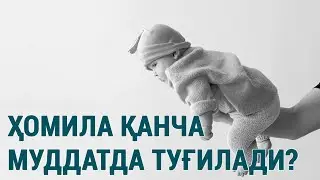 Ҳомила қанча муддатда туғилади