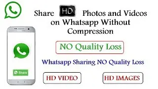 How to send whatsapp photos and videos without quality loss