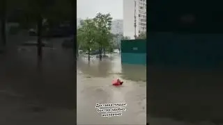 21 июня 2024 г.