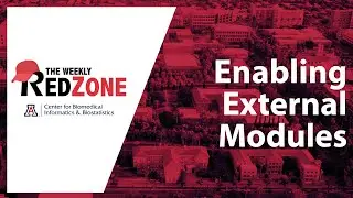 Enabling External Modules