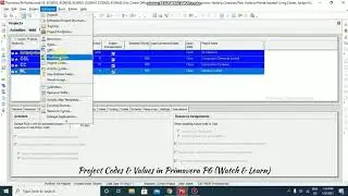 Project Codes in Primavera P6 (Watch & Learn)