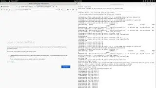 Deploying a Hello World Server - Digital Ocean Droplets, Docker, DNS, & Let's Encrypt