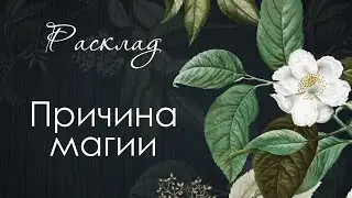 771 🍉 ПО КАКОЙ ПРИЧИНЕ НА ВАС ПРОХОДЯТ ВОЗДЕЙСТВИЯ ВРАГОВ | ТРАНСФОРМАЦИИ ТАРО