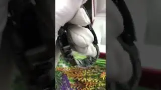 NexTop - Часы Rolex