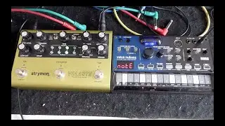 Korg Volca Nubass & Strymon Volante