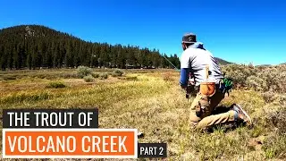 The "Real" Golden Trout of Volcano Creek | Heritage Trout Mapping E02P02