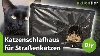 Anleitung: Schlafhaus für Straßenkatzen