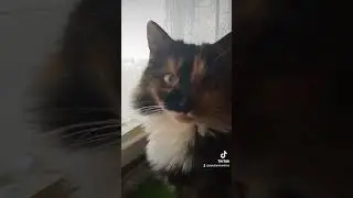 Всем привет! Моя Люся 