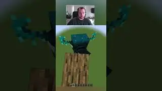 Can a fall of 200 blocks kill the warden in minecraft #shorts