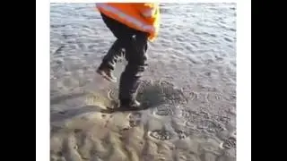 Что это?