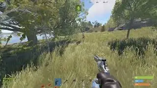 rust1