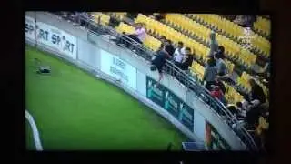 Greatest Ever Crowd Catch - Cricket - 1 Handed on 1 Foot