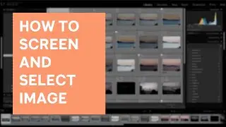 How To Screen and Select Photos | Post Processing Workflow Step 2 | Adobe Lightroom Tutorial