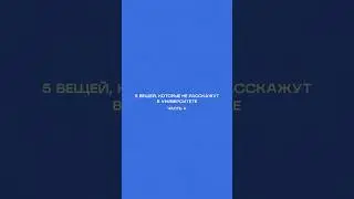 Секреты бизнеса, о которых вам не расскажут в университете 📌 Часть 4