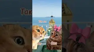 #отношения #юмор