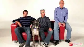 Behind the Design of Puppy Tweets™ Tag