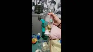 Science fair project
