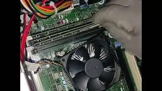 Configuración de Servidor Dell PowerEdge T40 instalación de memorias 8GB RAM