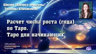 Расчет числа роста (года) Таро.  Нумерология в таро