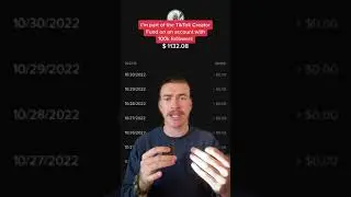Does the tiktok creator fund affect your views - Digital marketing 💰