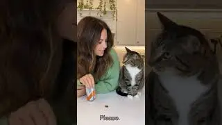 The snack debate 😂 subscribe to light up your day  
