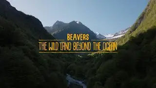 Beavers ~ The Wild Land Beyond The Ocean (CLIP)