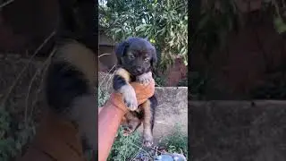 #rj