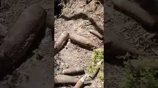 Склад боеприпасов найден в Гулькевичском районе в п. Гирей, Краснодарский край