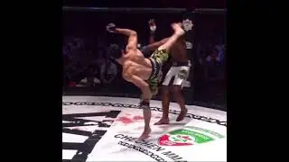 самый лучший нокаут года MMA