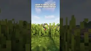 ¡BOSQUE EN FORMA DE CORAZÓN SEMILLA DE MINECRAFT JAVA 1.20+!