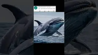 2024 whale and 5000bce whale || Past animals ||#shorts #Trend #trend #new #evolution #animal #todayw